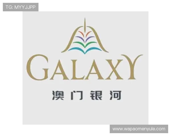 银河澳门官方网站中支付方式介绍多样选择方便快捷的资金存取渠道