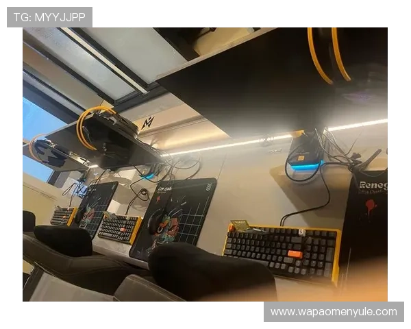 南宫电竞：打造专业化电竞赛事平台的全面解析与未来发展趋势