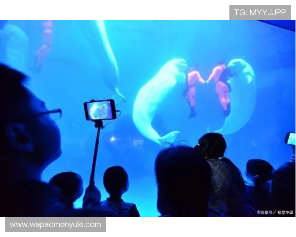 海洋之神官网真人游戏全新体验带你畅游深海奇幻世界